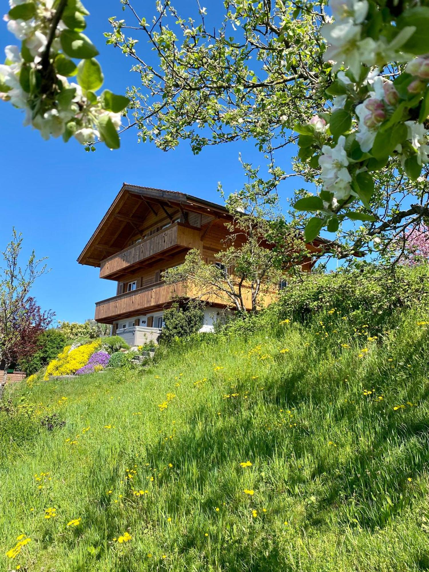 Chalet Egglen "Typical Swiss House, Best Views, Private Jacuzzi" Sigriswil Eksteriør billede
