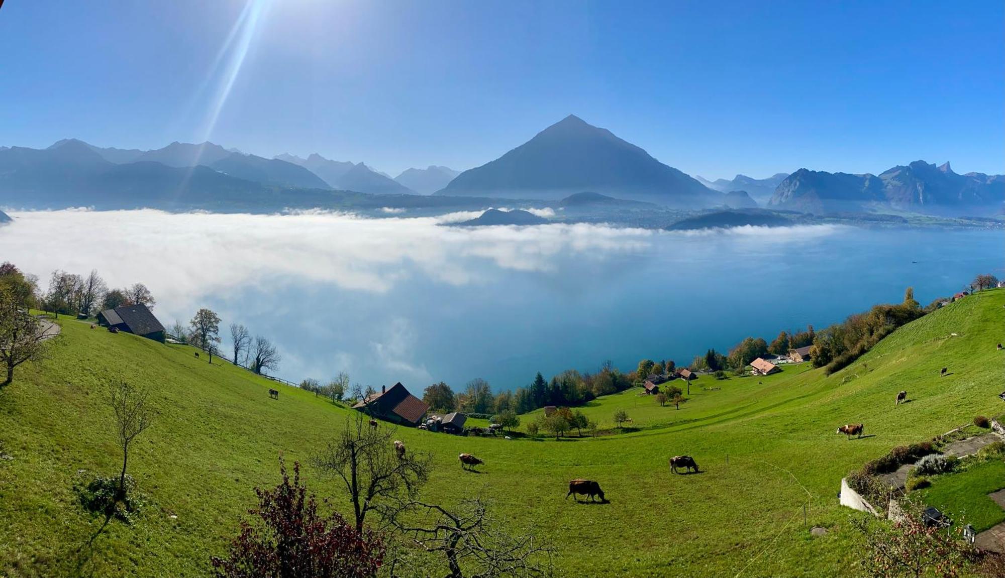Chalet Egglen "Typical Swiss House, Best Views, Private Jacuzzi" Sigriswil Eksteriør billede