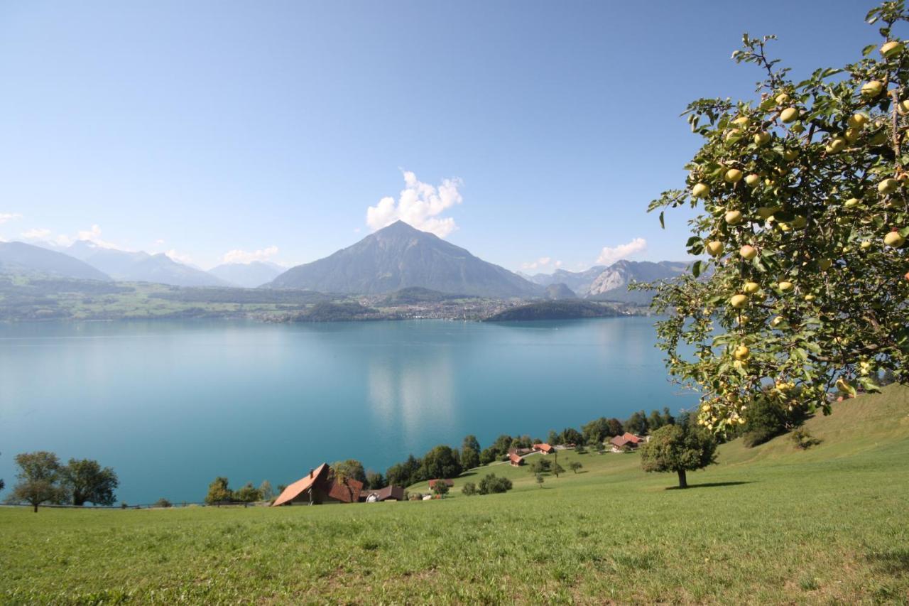 Chalet Egglen "Typical Swiss House, Best Views, Private Jacuzzi" Sigriswil Eksteriør billede