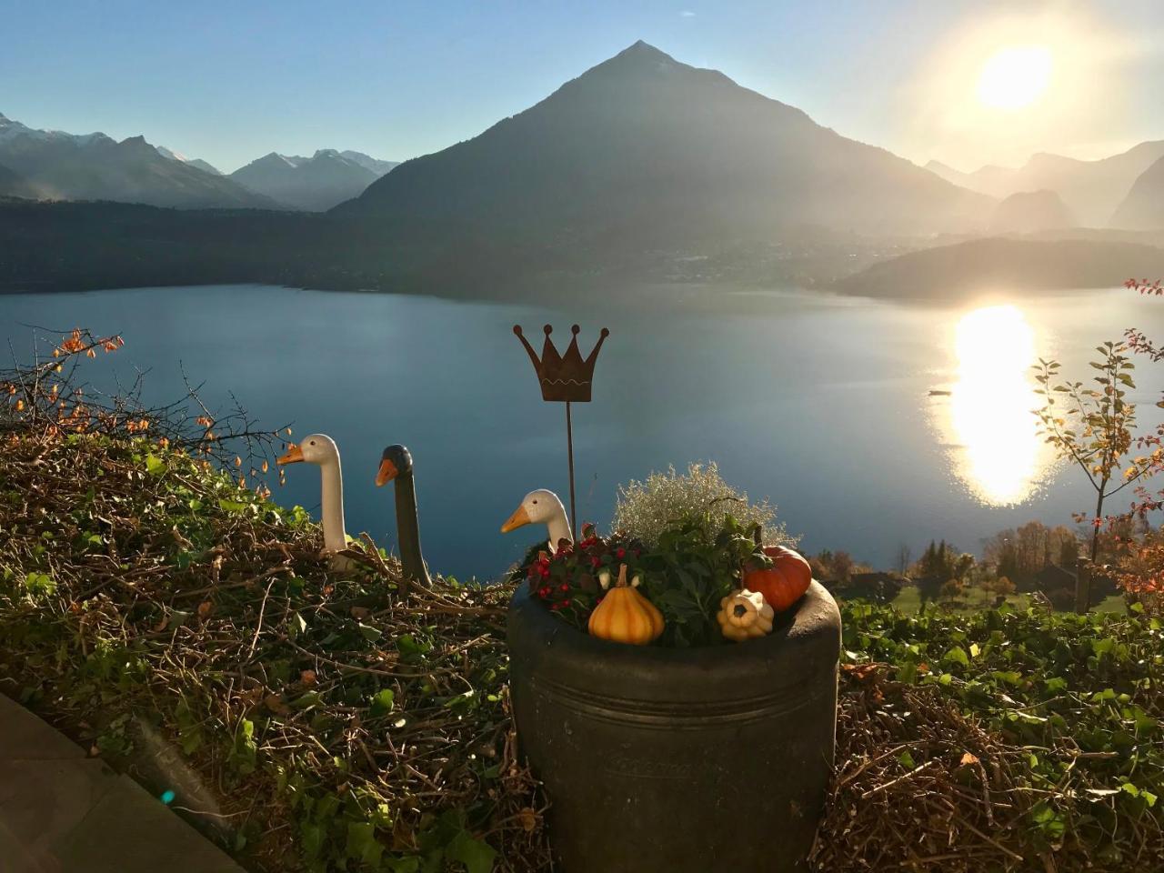 Chalet Egglen "Typical Swiss House, Best Views, Private Jacuzzi" Sigriswil Eksteriør billede