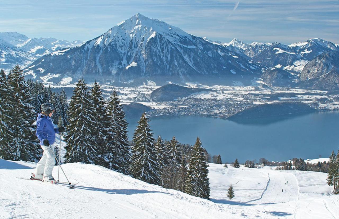 Chalet Egglen "Typical Swiss House, Best Views, Private Jacuzzi" Sigriswil Eksteriør billede