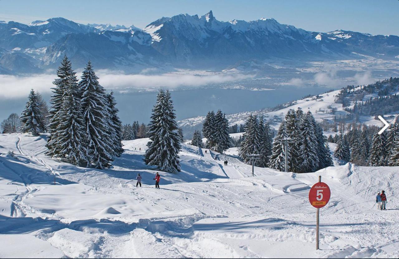 Chalet Egglen "Typical Swiss House, Best Views, Private Jacuzzi" Sigriswil Eksteriør billede