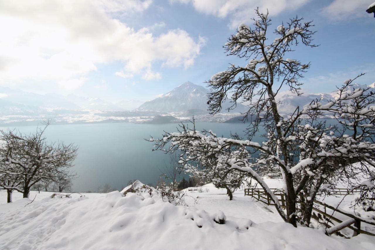 Chalet Egglen "Typical Swiss House, Best Views, Private Jacuzzi" Sigriswil Eksteriør billede