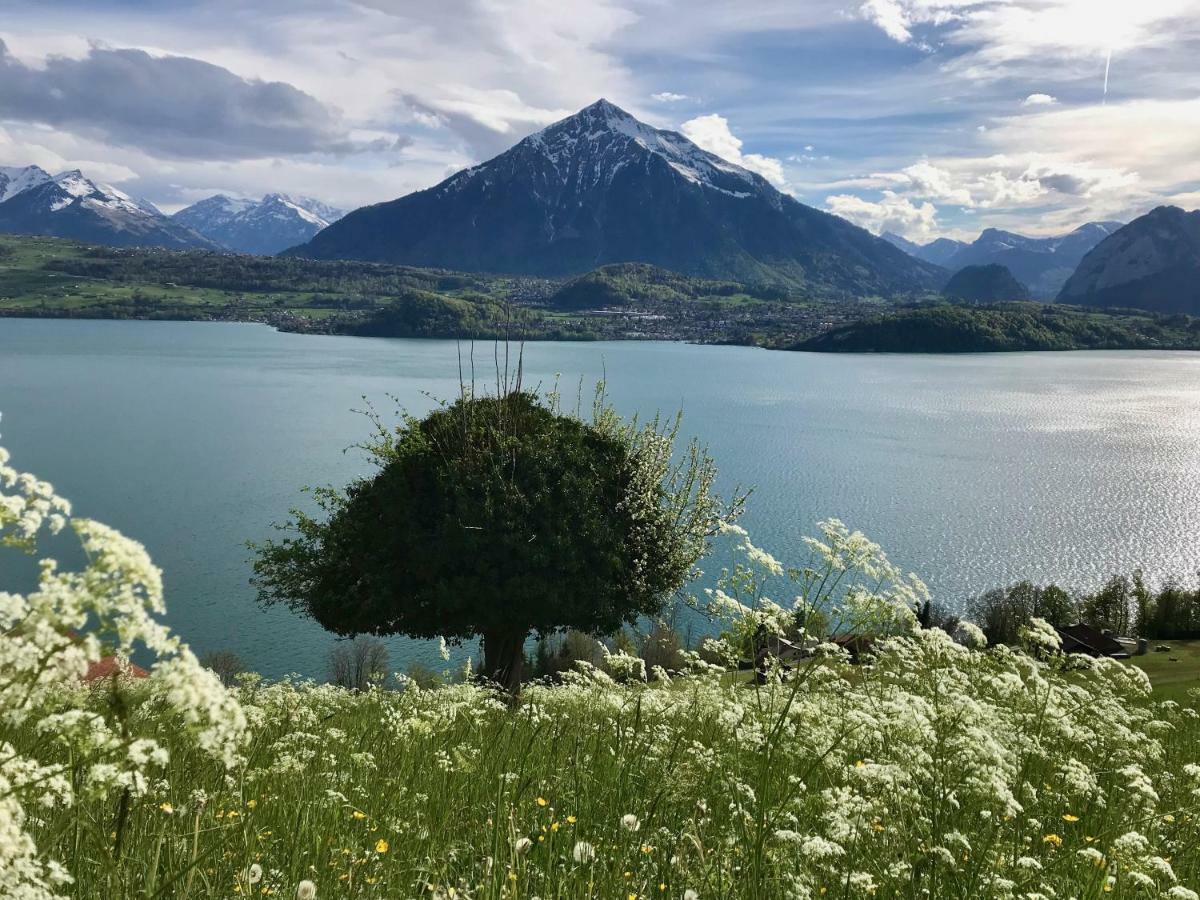 Chalet Egglen "Typical Swiss House, Best Views, Private Jacuzzi" Sigriswil Eksteriør billede